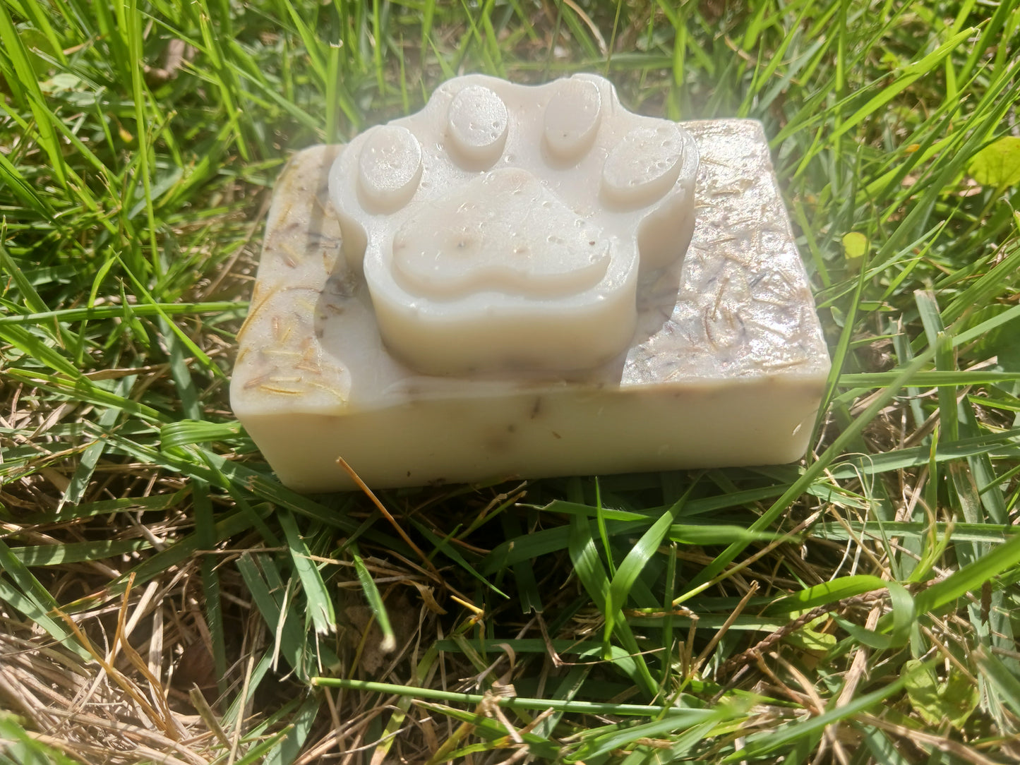 Odor Relief Dog Shampoo Bar