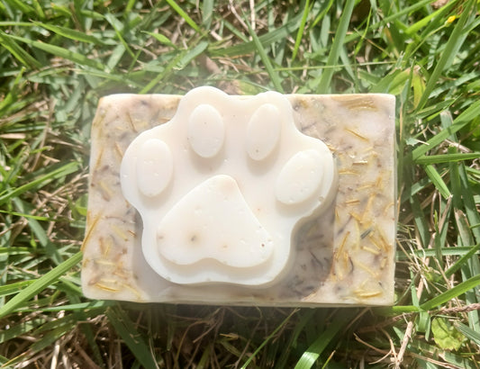 Odor Relief Dog Shampoo Bar