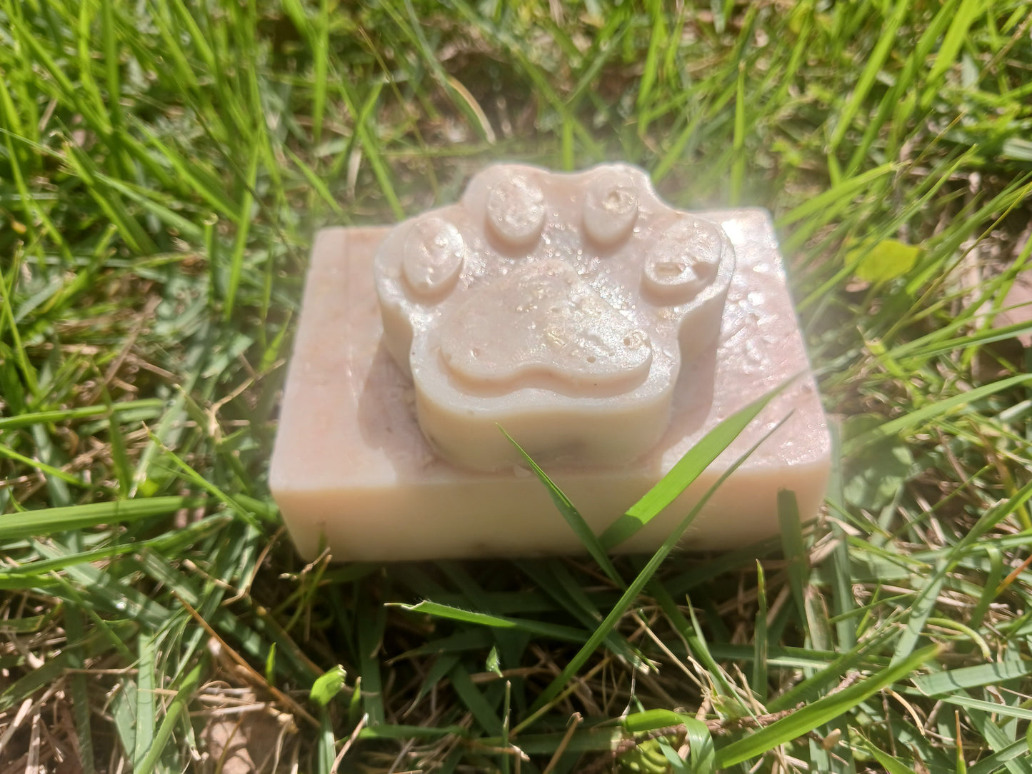 Calming & Soothing Dog Shampoo Bar